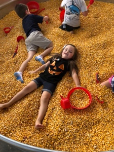 Guide to Rocky Hollow Pumpkin Patch with Kids